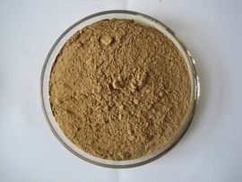 Ginkgo Biloba Powder EXtracts