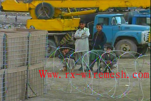 Barbed Wire