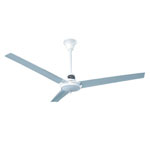 Ceiling fan