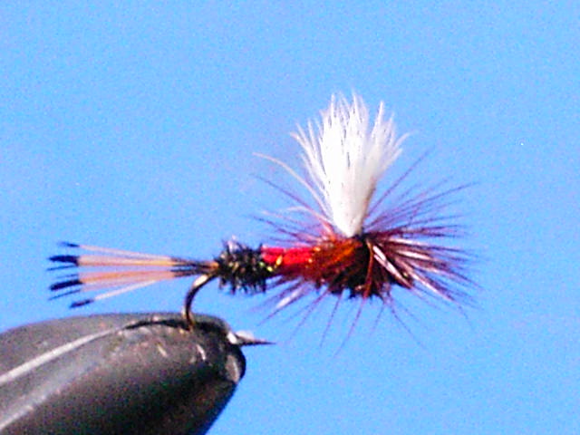 Dry flies