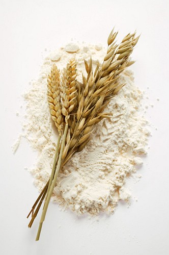 Organic Flour