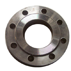 Stainless Steel Flanges