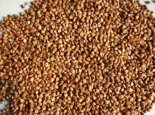 roasted buckwheat kernel