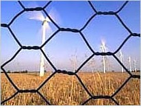 Hexagonal Wire Mesh