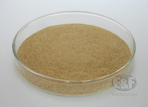 Fodder Yeast