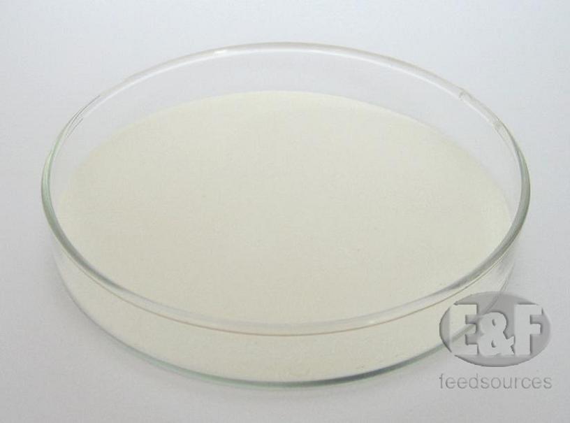 Dicalcium Phosphate (DCP)