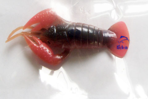Craw
