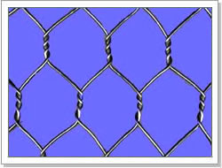 Hexagonal wire mesh