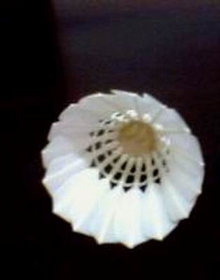 Grade 3(4)small-broad CiGu duck shuttlecock