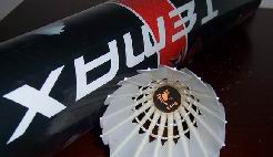 Goose feather new 2008(2 Generation)