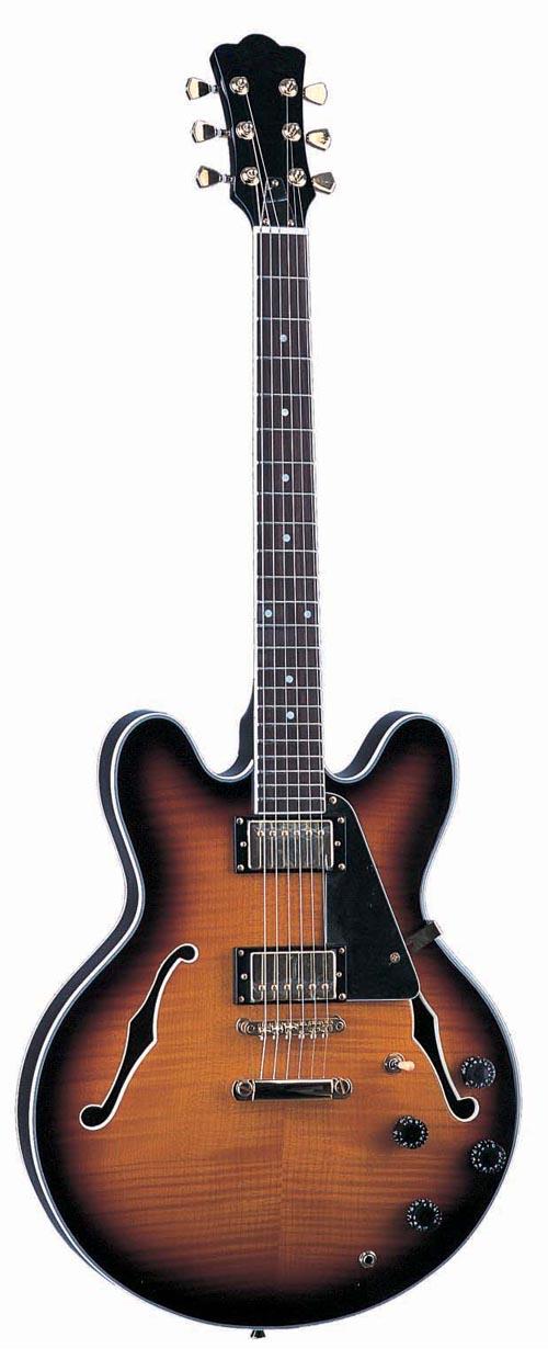 electric guitar LES-25 F