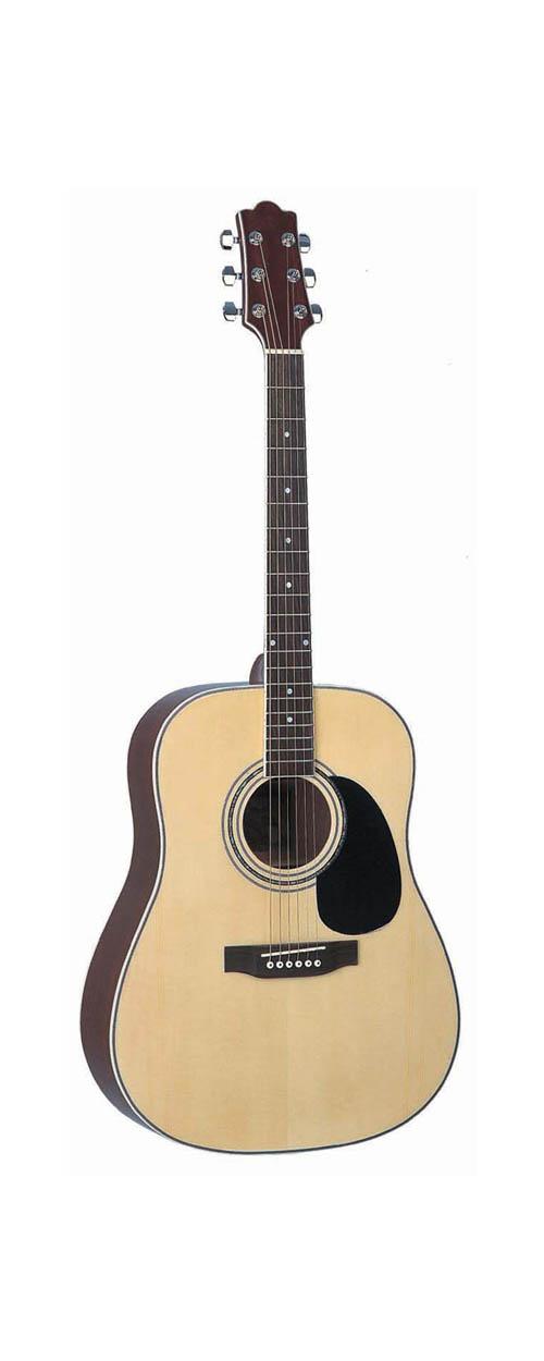 acoustic guitar LDG-17 M
