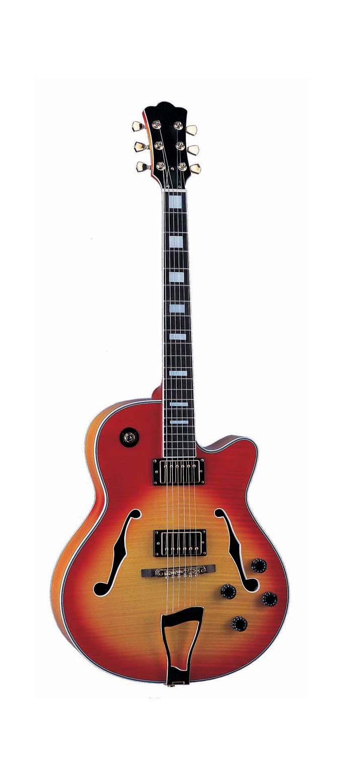 acoustic guitar LJA-16
