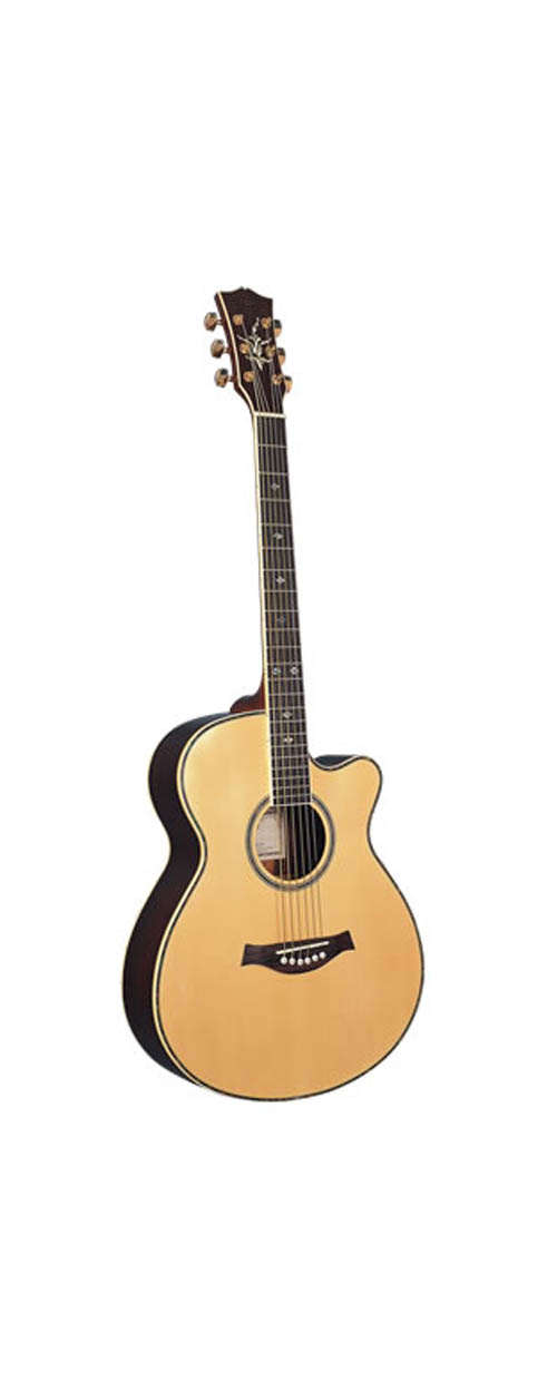 acoustic guitar LMJG-17 R-C