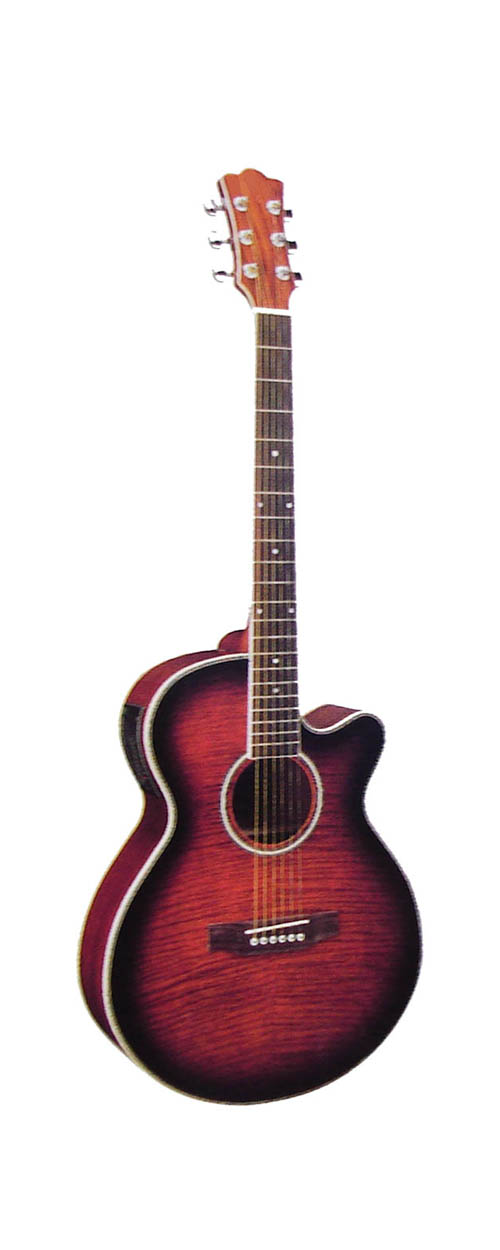 acoustic guitar LMJG-17M-FPCE