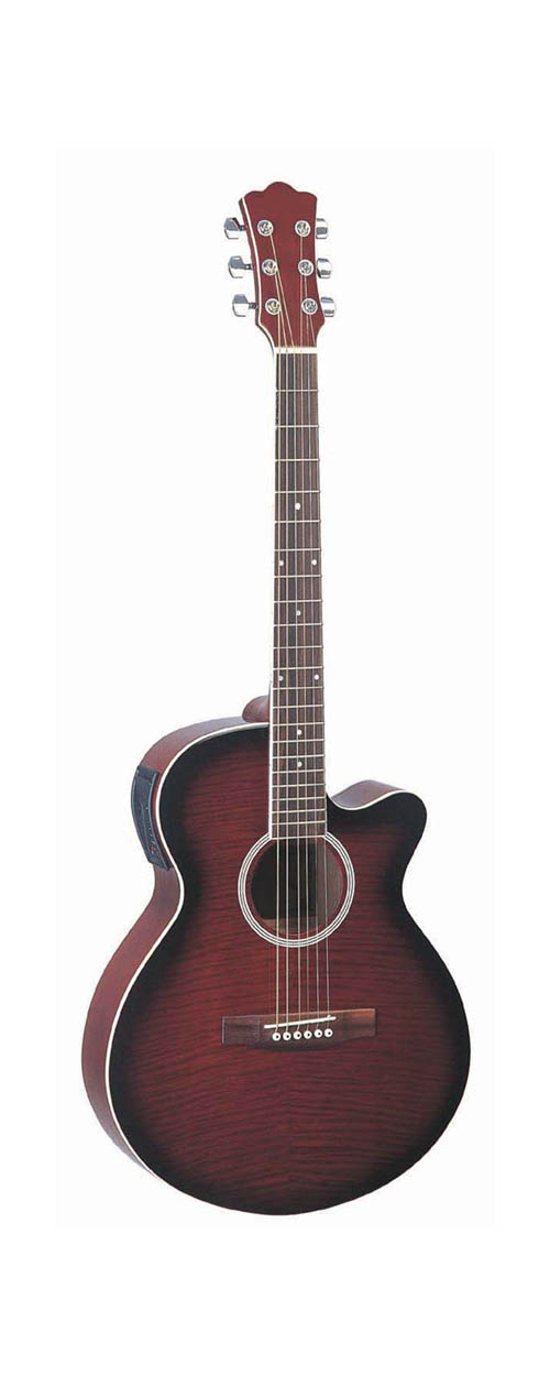 acoustic guitar LMJG-17 W-FPCE