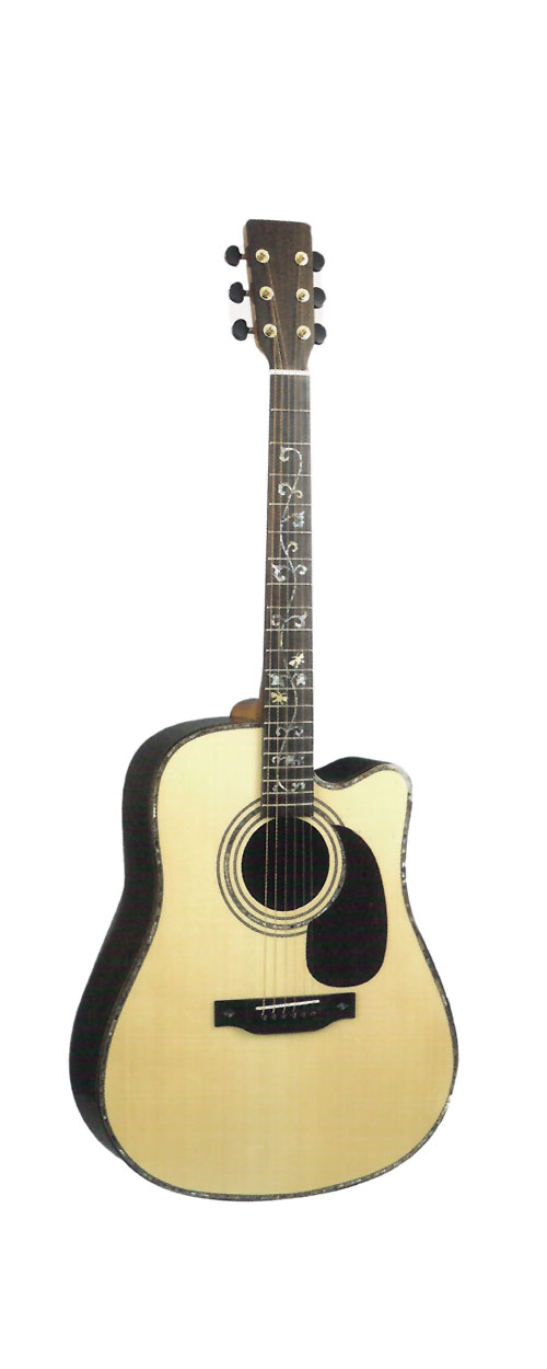 acoustic guitar LDG-27 R-C
