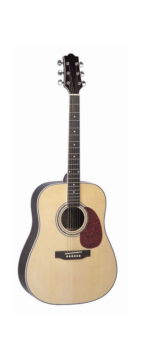 acoustic guitar LDG-28 R