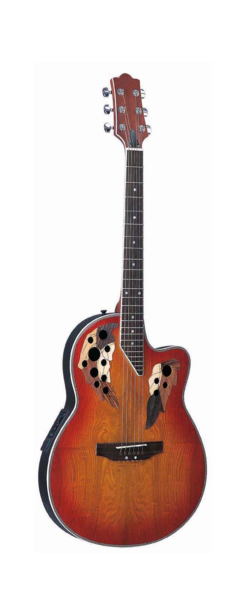 acoustic guitar LO-13-CE