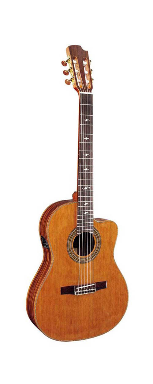 classical guitar LCG-28 R-CB