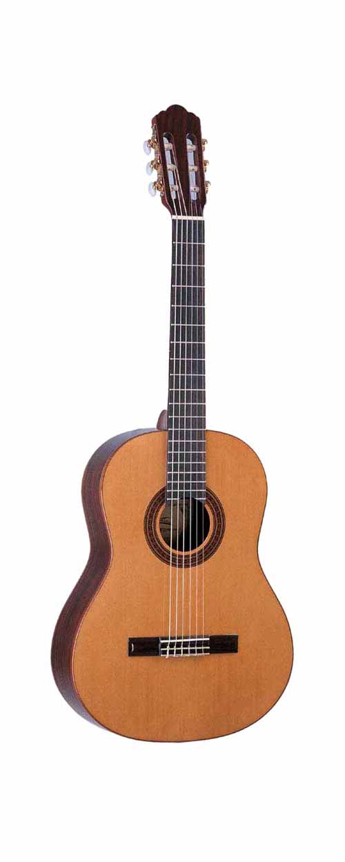 classical guitar LCG-28 B