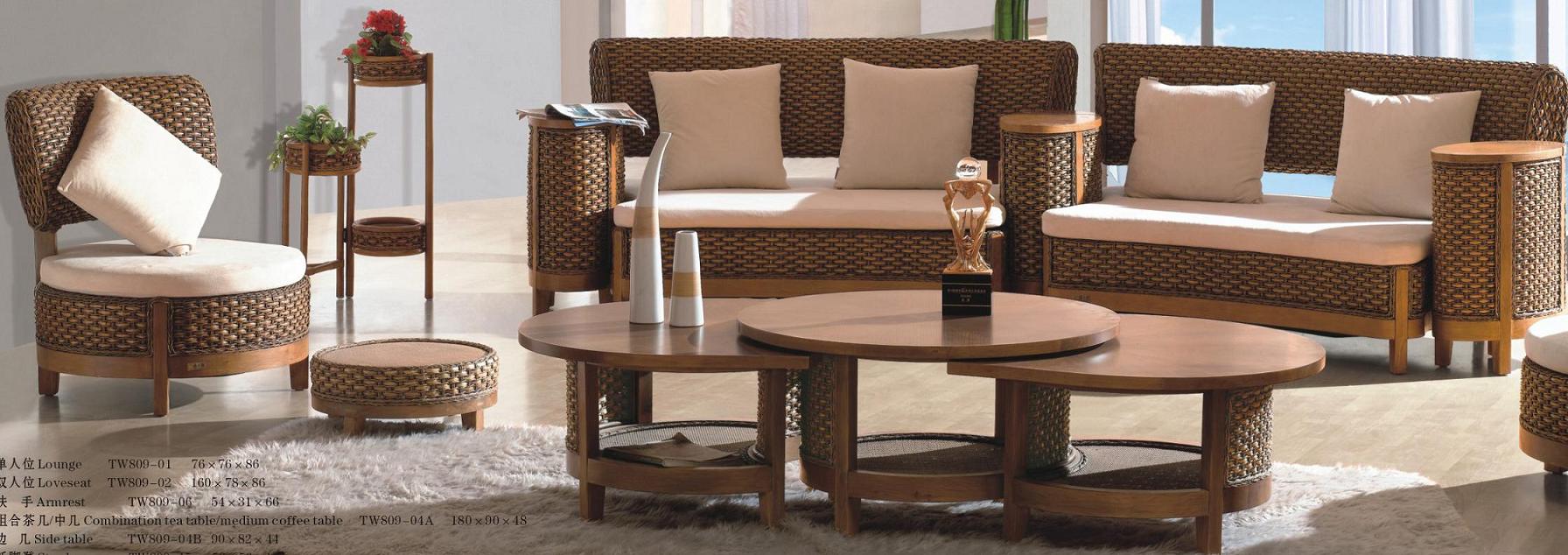 Indoor rattan sofa furniture (2)