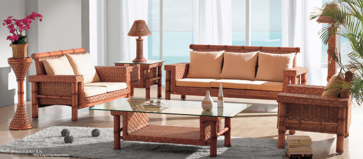 Indoor rattan living room furniture (1)