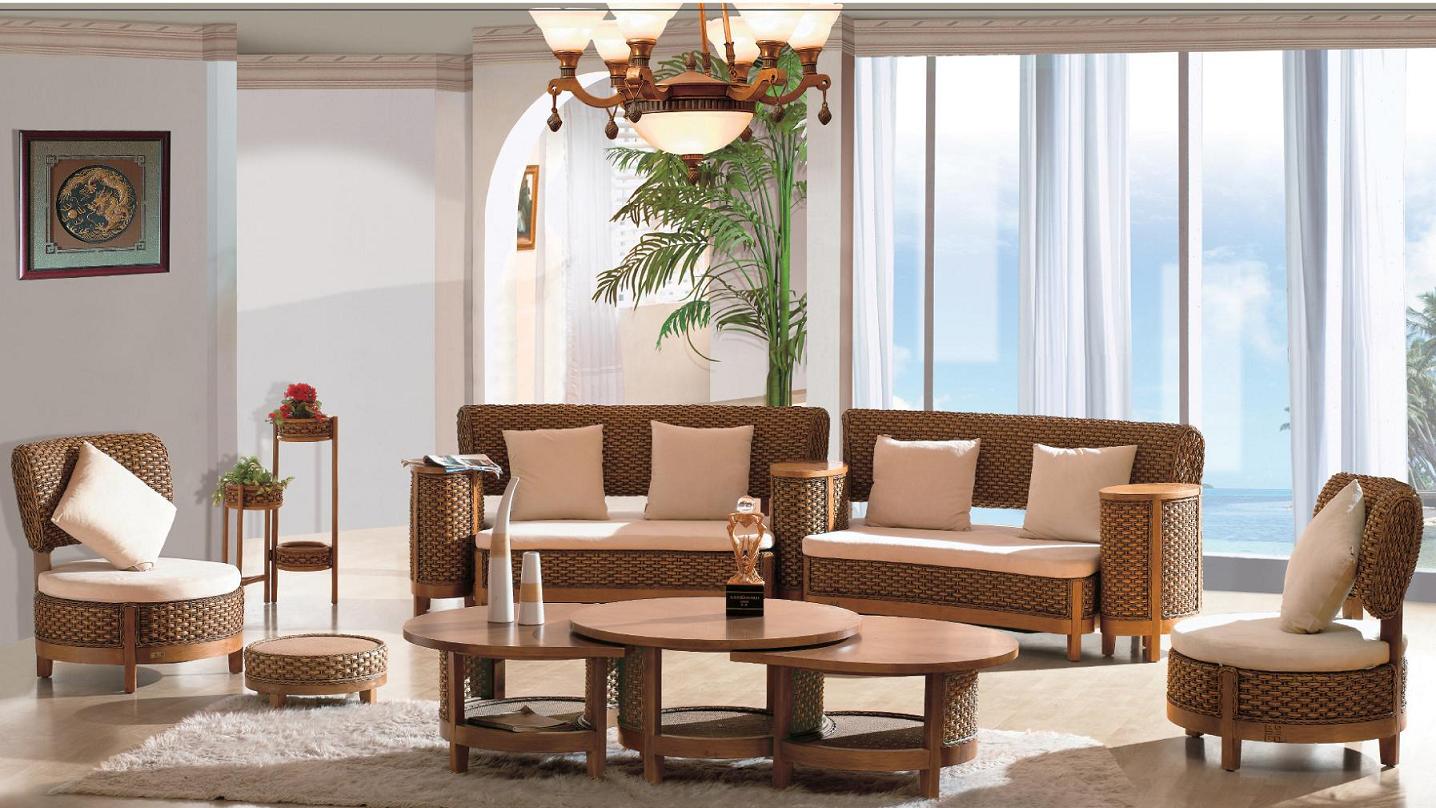 Indoor rattan living room furniture (10)
