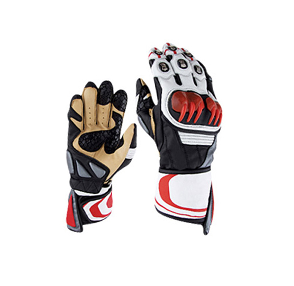 Motorcycle Gloves