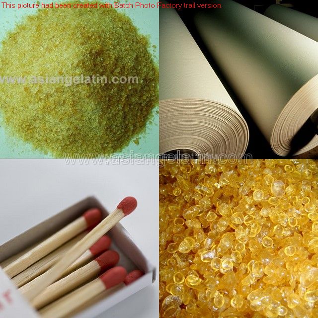Industrial Gelatin (Technical Gelatin)