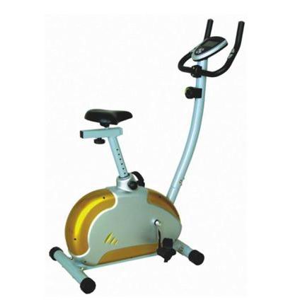 MAGNETIC BIKE