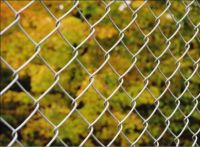 chain link fence
