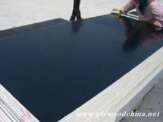 Big size film faced plywood