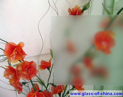 2mm Non Glare (Anti-Reflection) Glass