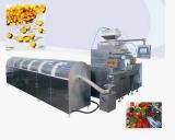 Full Automatic Soft Gelatin Encapsulation
