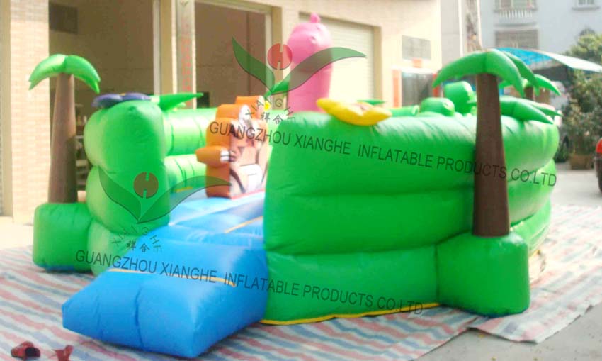 castle bouncer