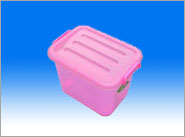 storage box mold