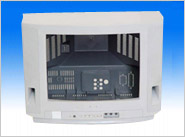 TV mold