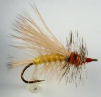 Stimulator