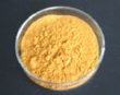 Milk Thistle Extract 80% silymarin (HPLC)