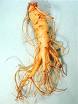 Ginseng Root Extract 80% Ginsenosides