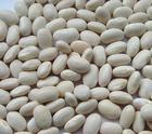 White Kidney Bean P.E. 20:1, 2% Phaseolin by HPLC