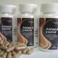 YACON (Regulates Blood Sugar Levels, Cholesterol)