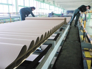 Overhead bridge conveyer