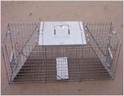 squirrel trap cage