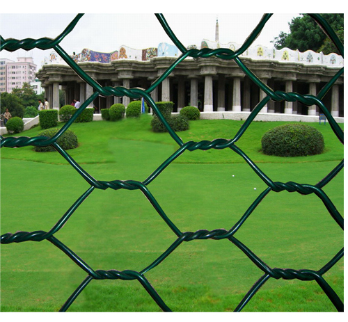 hexagonal wire mesh