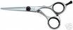 Hair Scissors