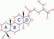 Phytosterols
