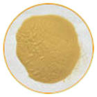 Panax Ginseng Extract