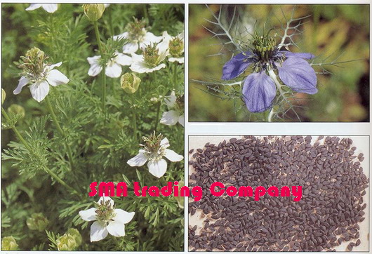 Black Cumin seeds